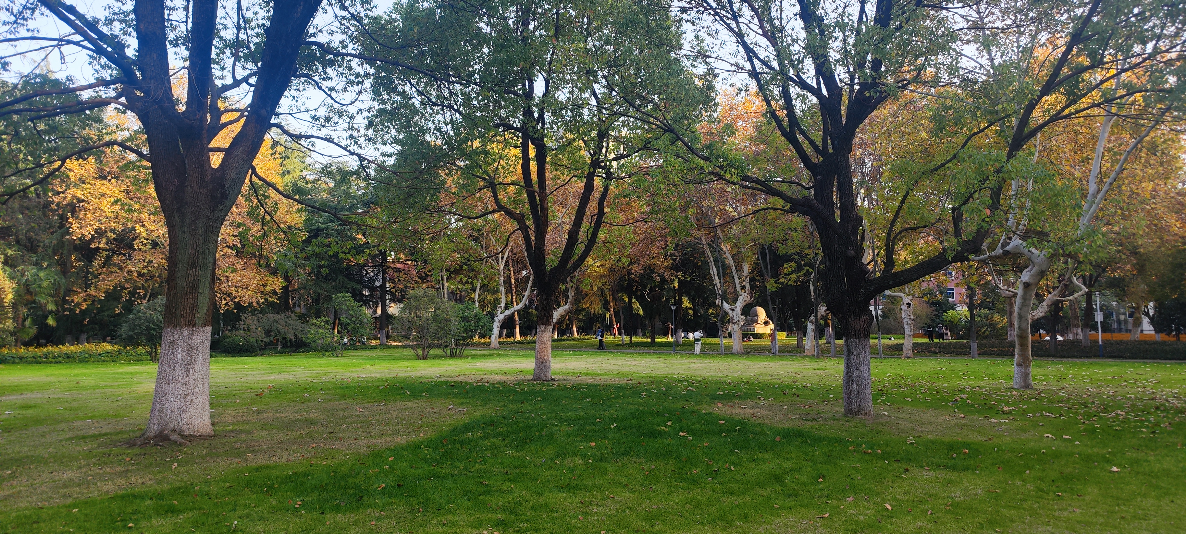 USTC Lawn