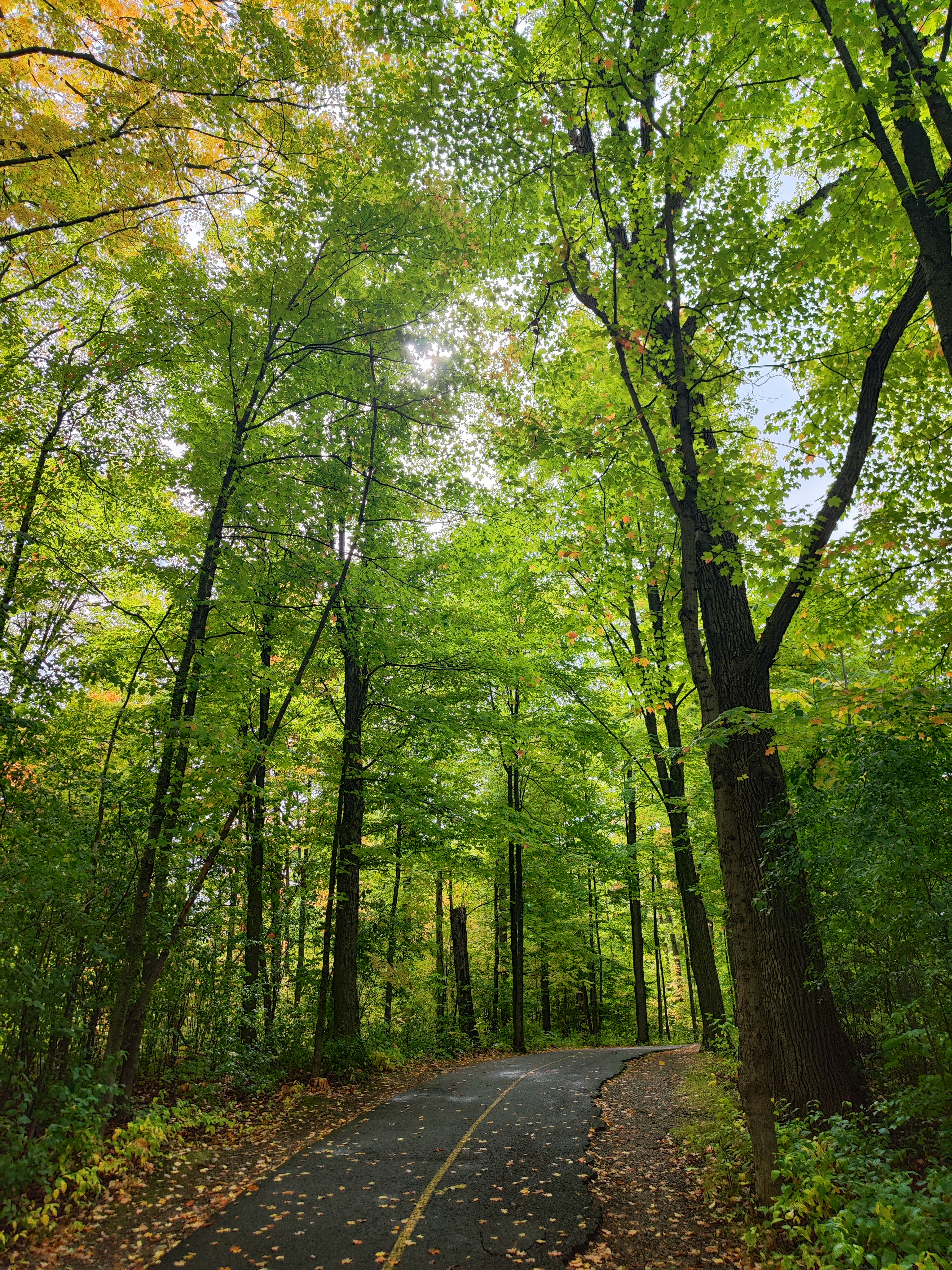 trail near Carleton U